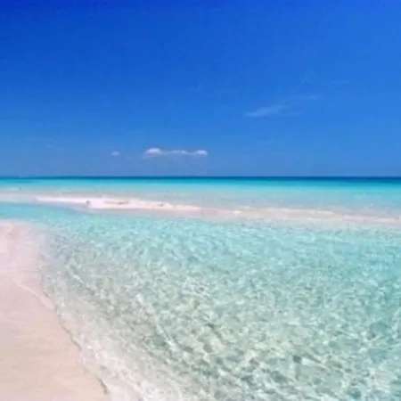 Summer Torre Pali