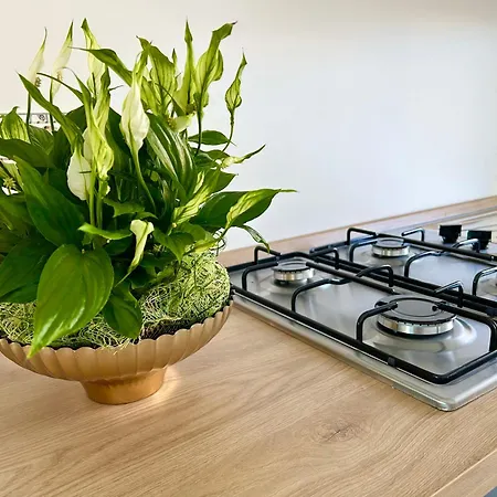 Holiday home Summer Torre Pali